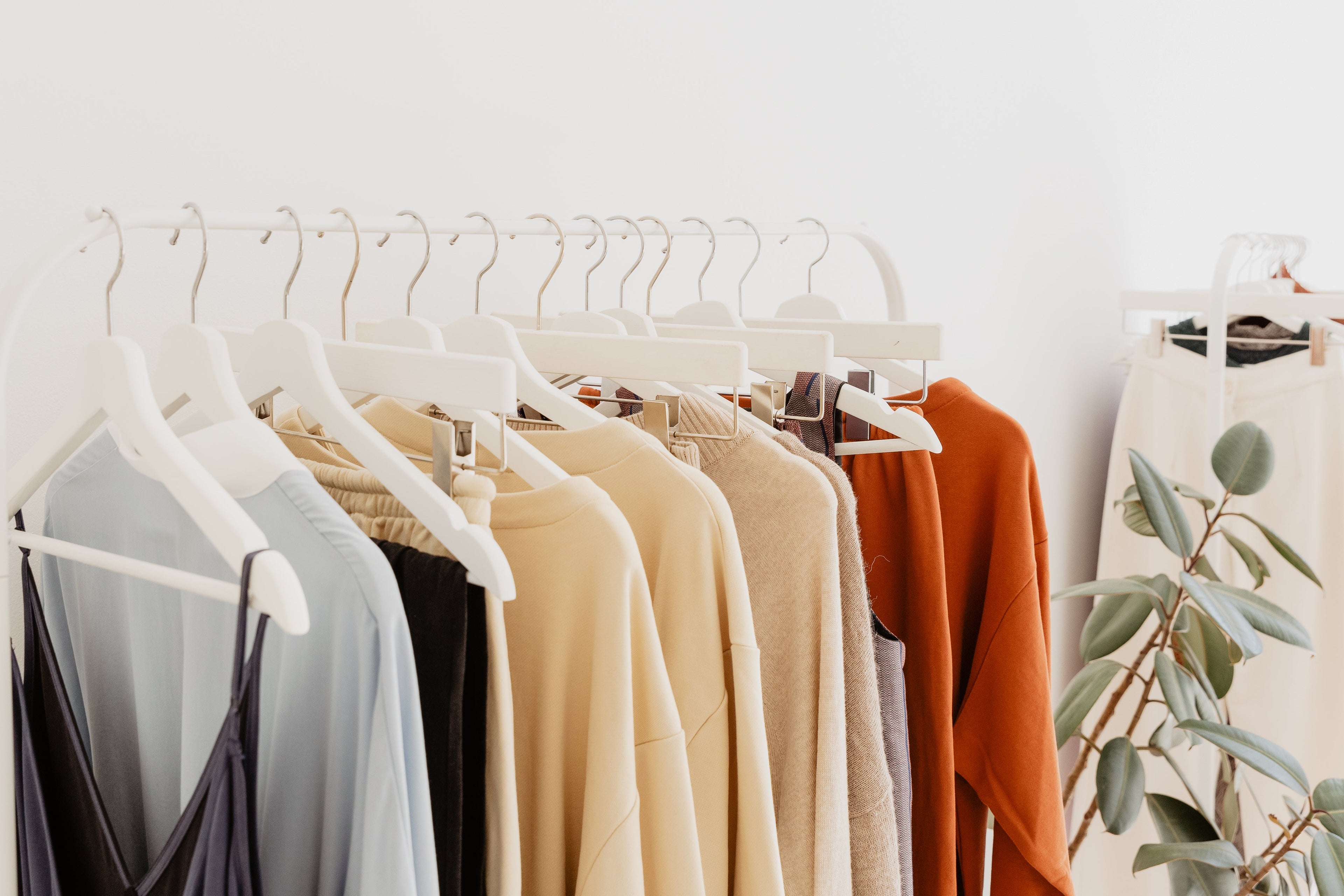 Clothing & Shoe