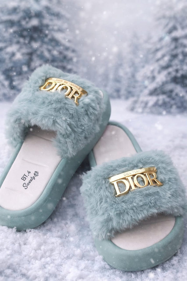 Green slippers with gold 'Dior' logo on a snowy background